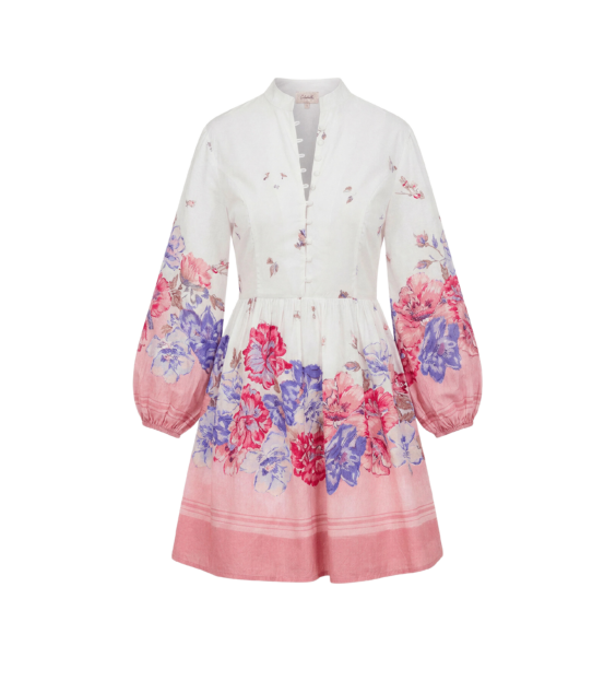 Cleobella Floral Mini Dress