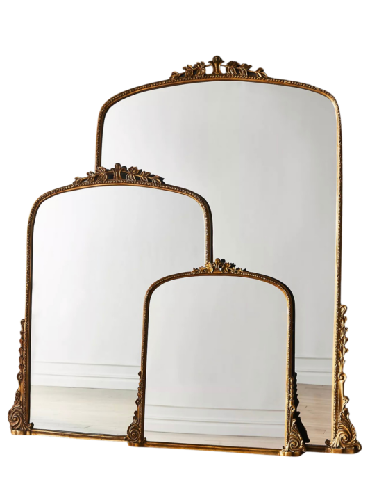 Anthropologie Gleaming Primrose 7' Floor Mirror